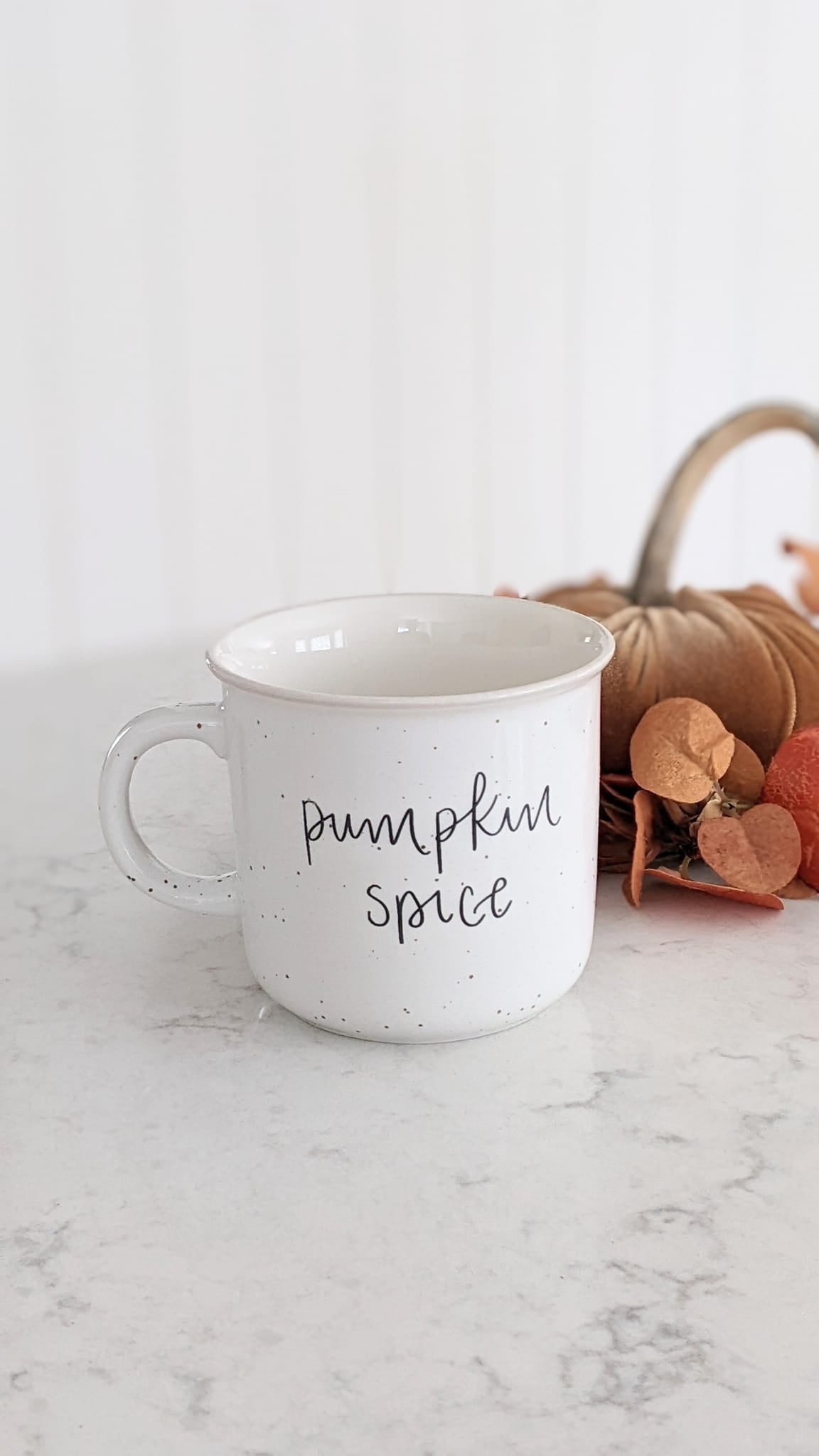 Pumpkin Spice Mug