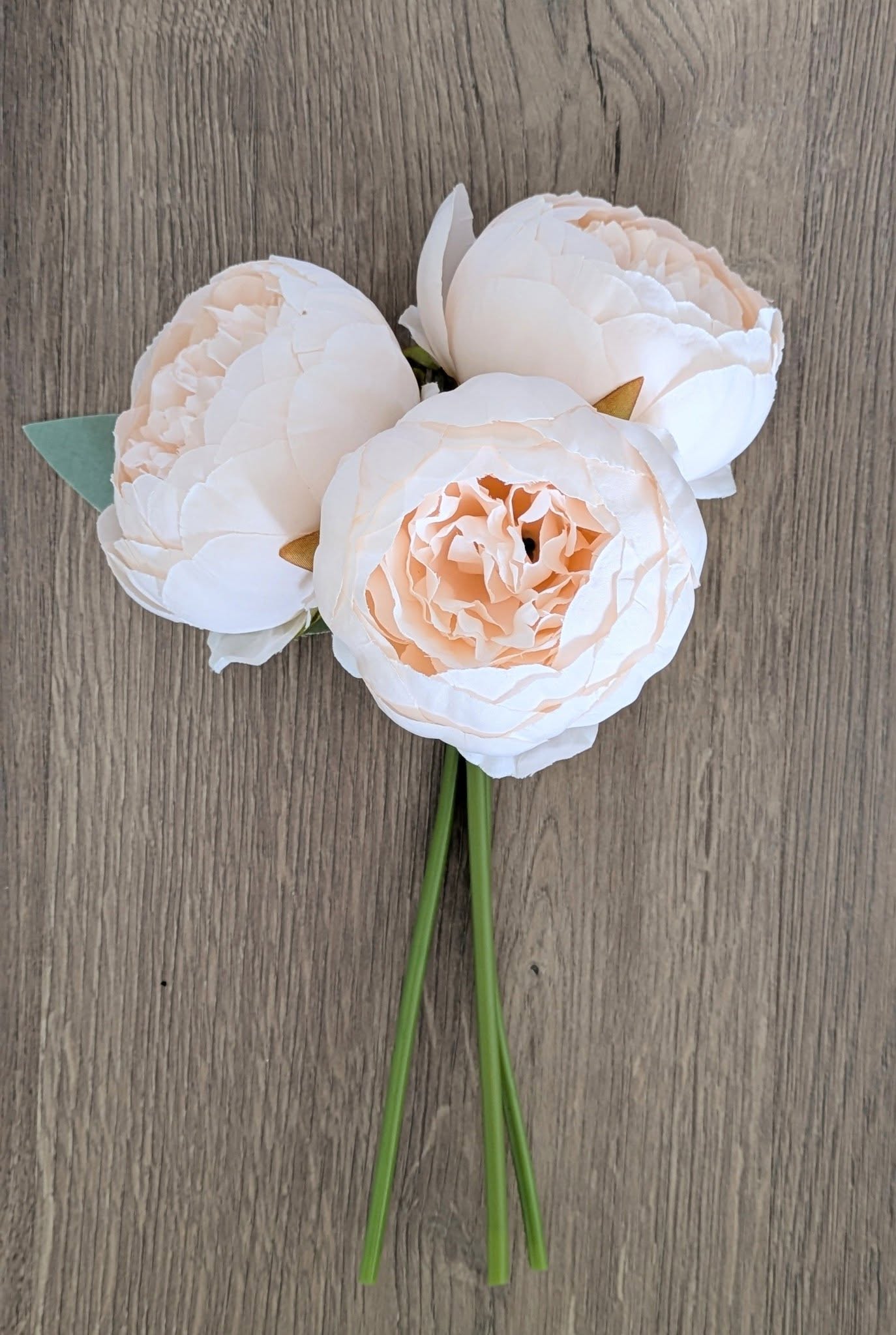 Dreamy Peach Peony Bundle