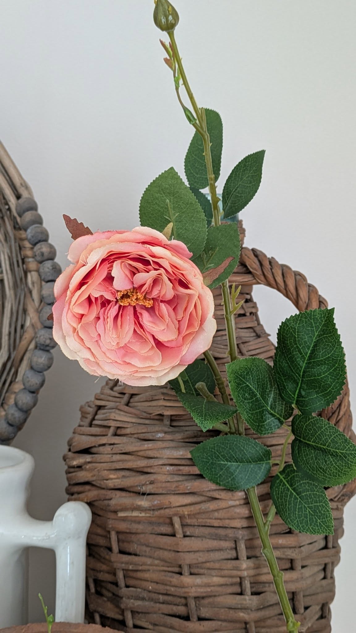 Pink Garden Rose Stem