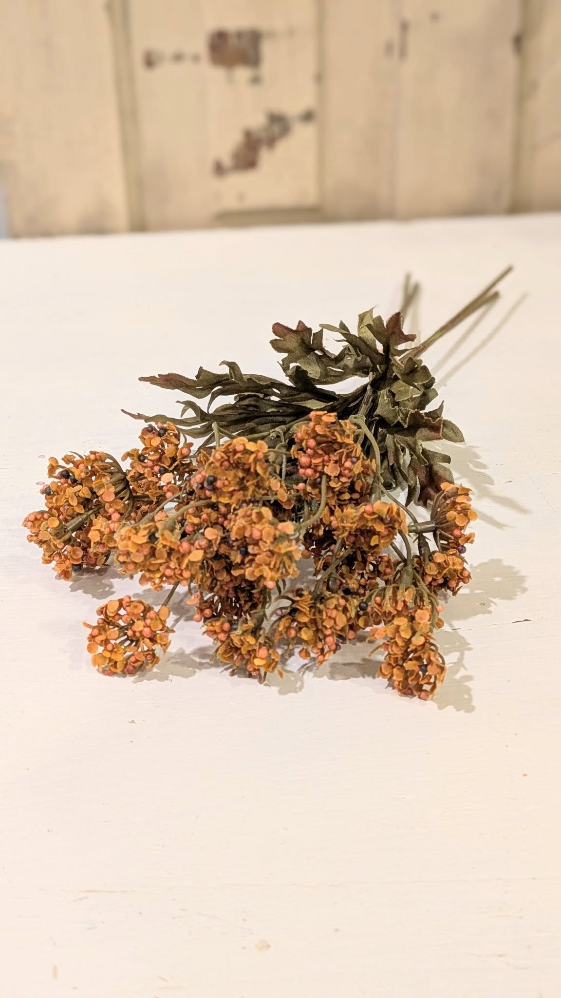 Autumn Fennel Bundle