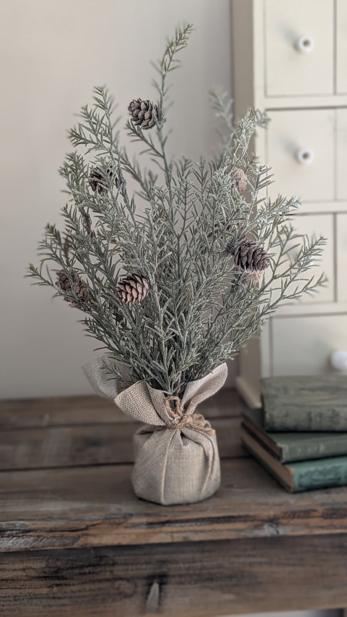 Sparkling Cedar Tree