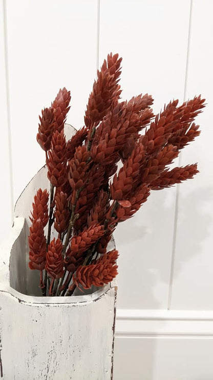 heartfelt hops bush 15"