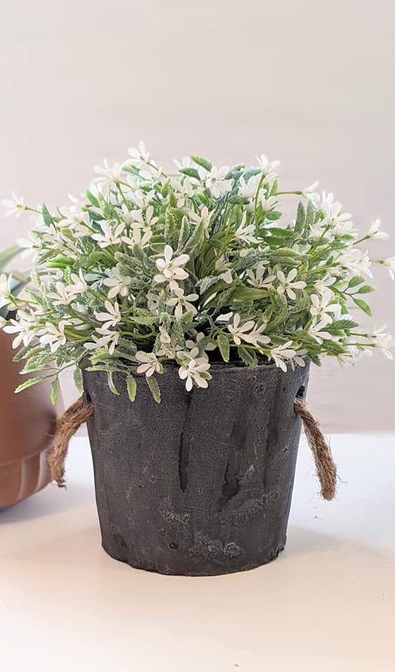 weathered cement planter