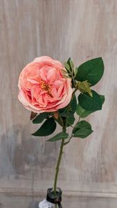 salmon realistic rose stem