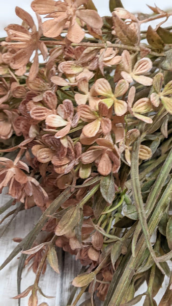 Harvest Hydrangea Bundle