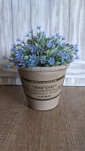 French Inspired Planter, Pousse