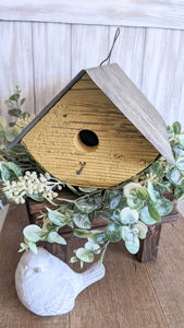 Yellow Wren House