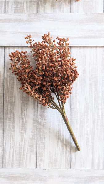 Pumpkin Astilbe Stem