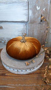 Jewel Tone Velvet Pumpkin, 3 Asst. Colors