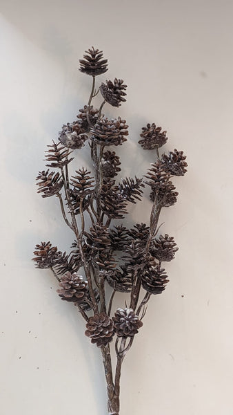 Mini Pinecone Bush