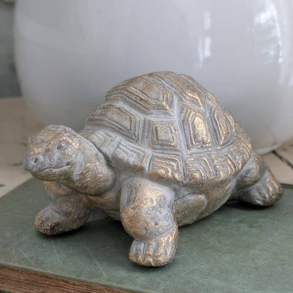 Gold Wash Garden Turtle