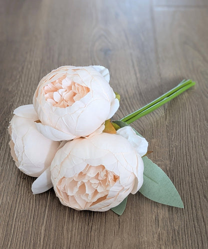 Dreamy Peach Peony Bundle