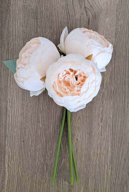 Dreamy Peach Peony Bundle