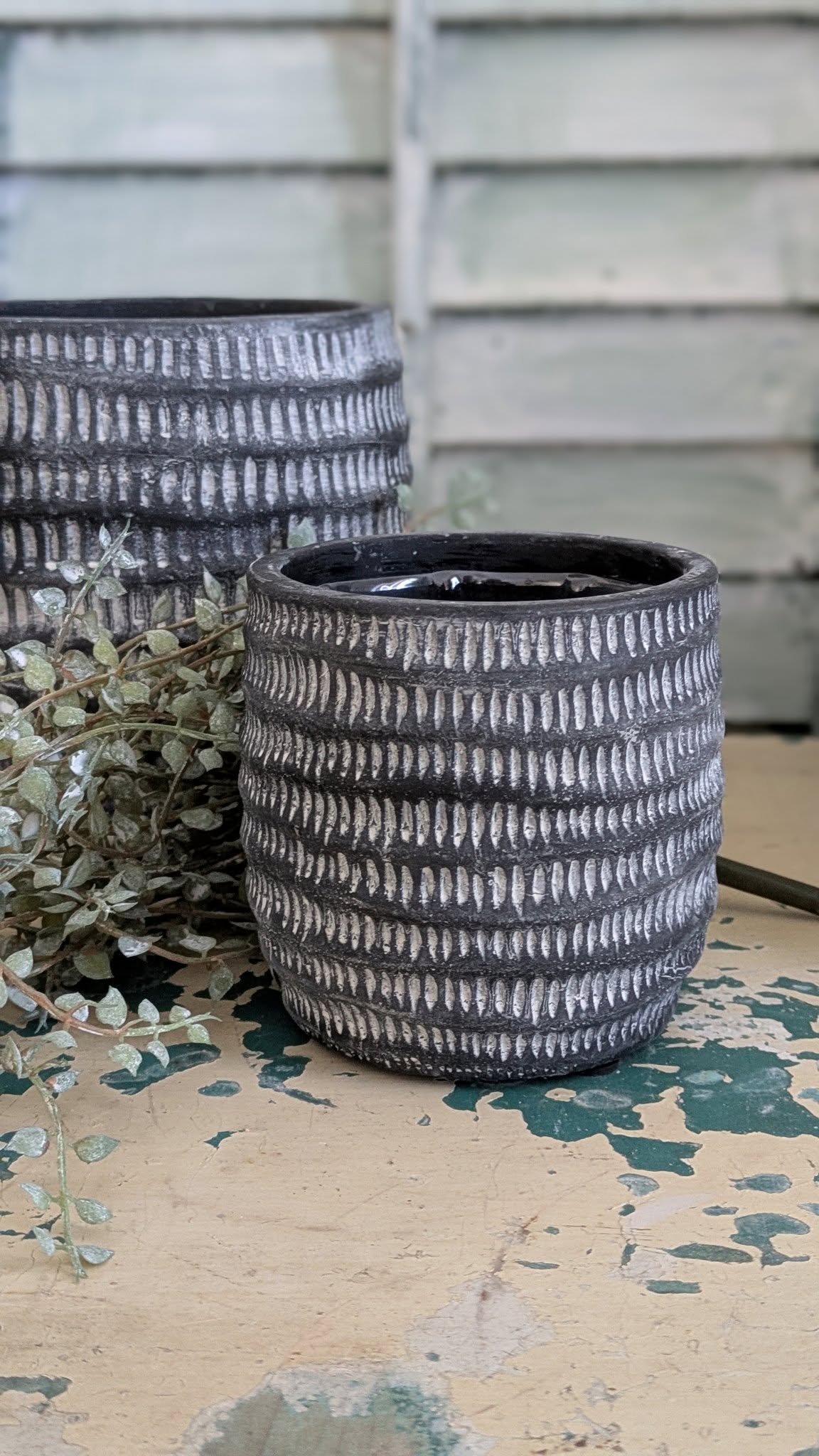 Black and Stripe Planter