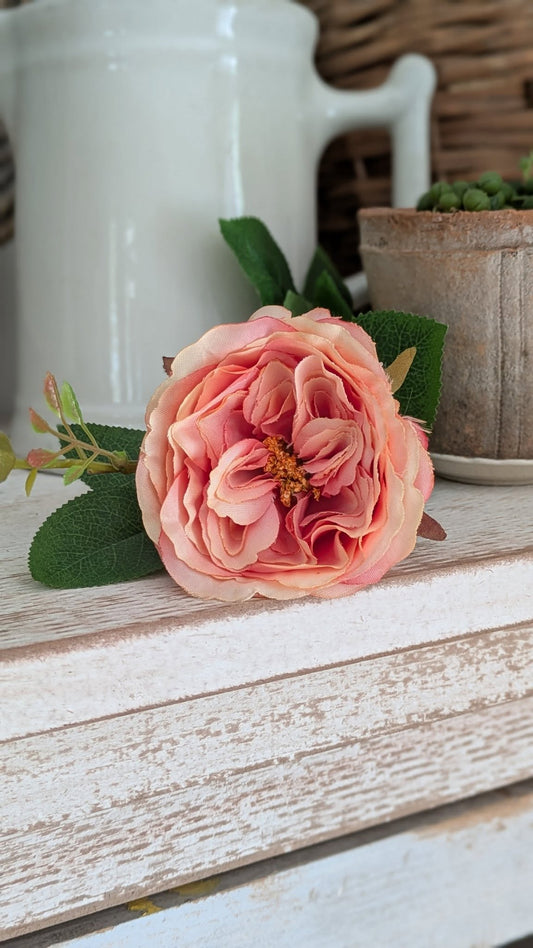 Pink Garden Rose Stem