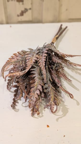 Bronze Fern Bundle