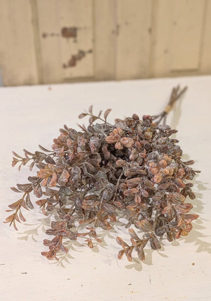 Harvest Eucalyptus Bundle