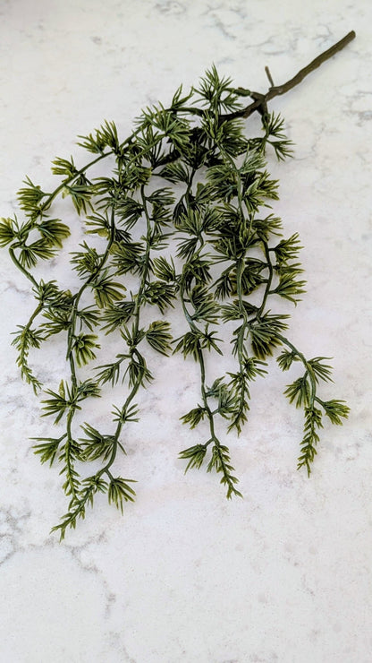 Dripping Pine Hanging Stem