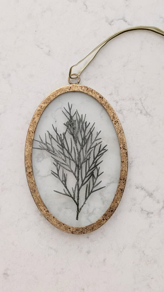 Framed Petite Pine Ornament