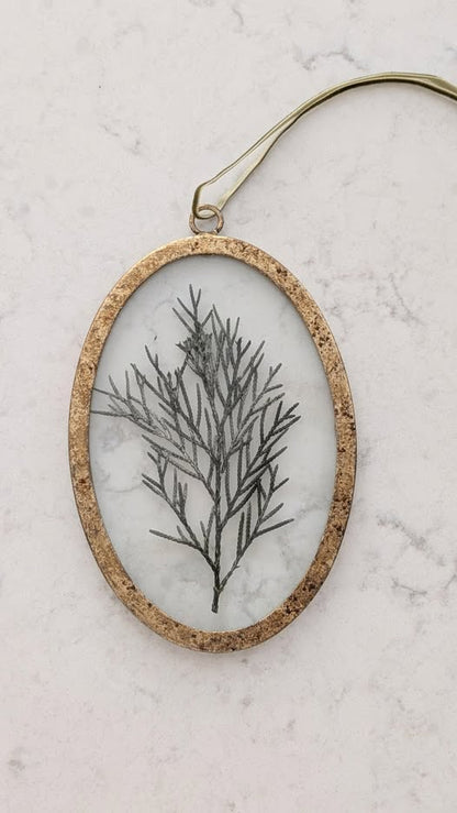 Framed Petite Pine Ornament