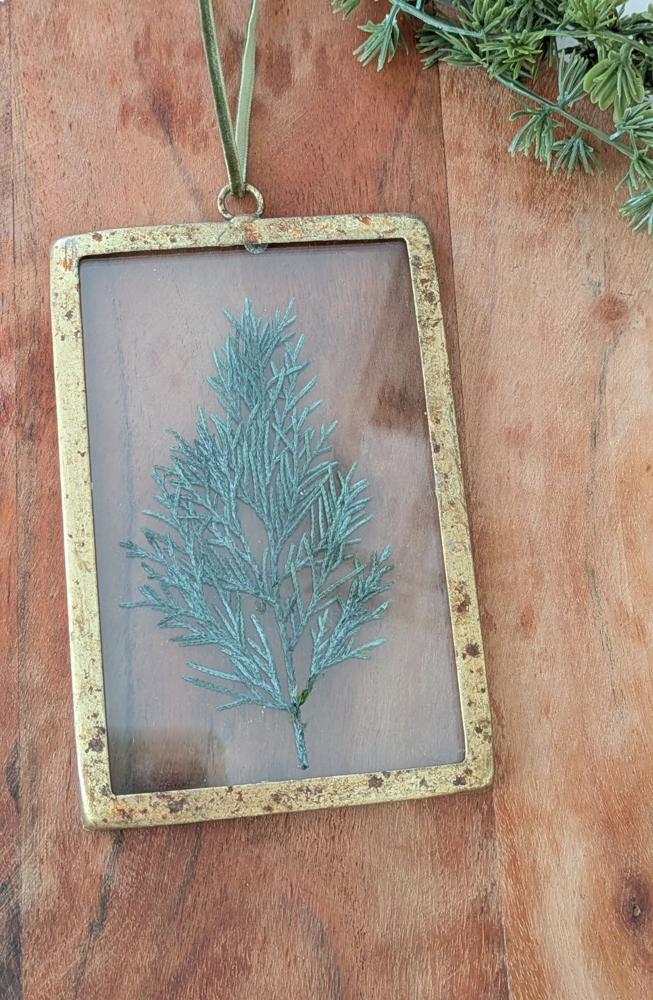 Framed Petite Pine Ornament