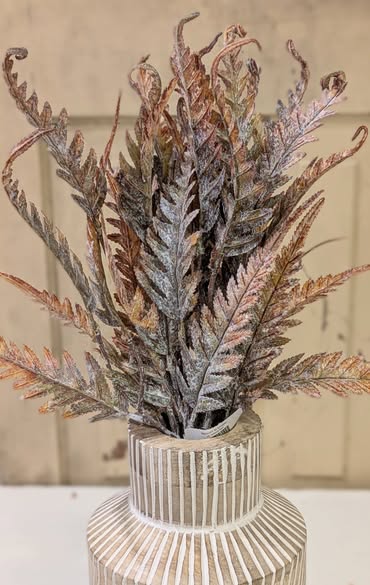 Bronze Fern Bundle
