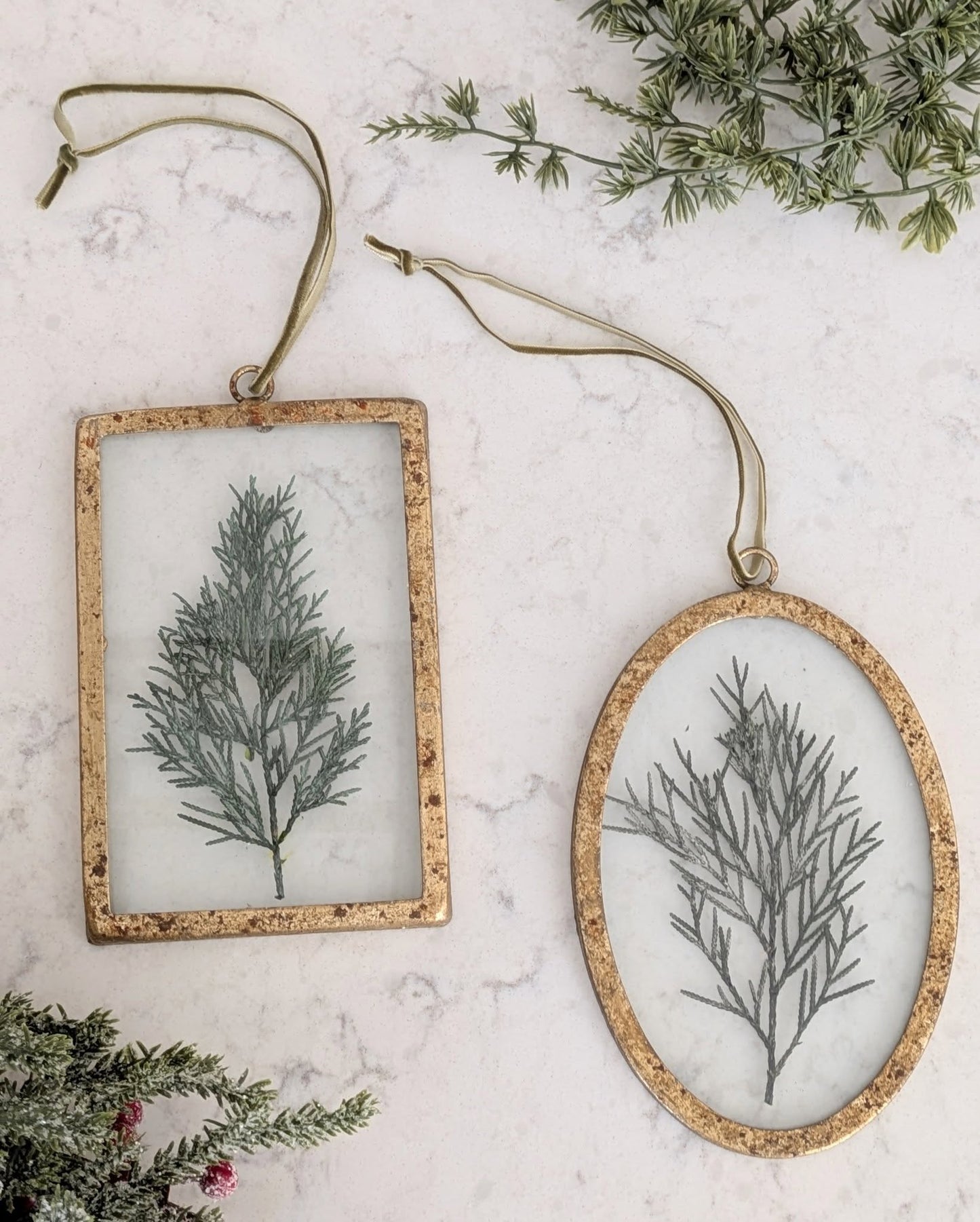 Two framed botanical decorations on a marble surface with greenery.