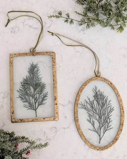 Two framed botanical decorations on a marble surface with greenery.
