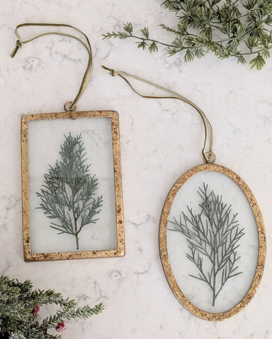 Two framed botanical decorations on a marble surface with greenery.