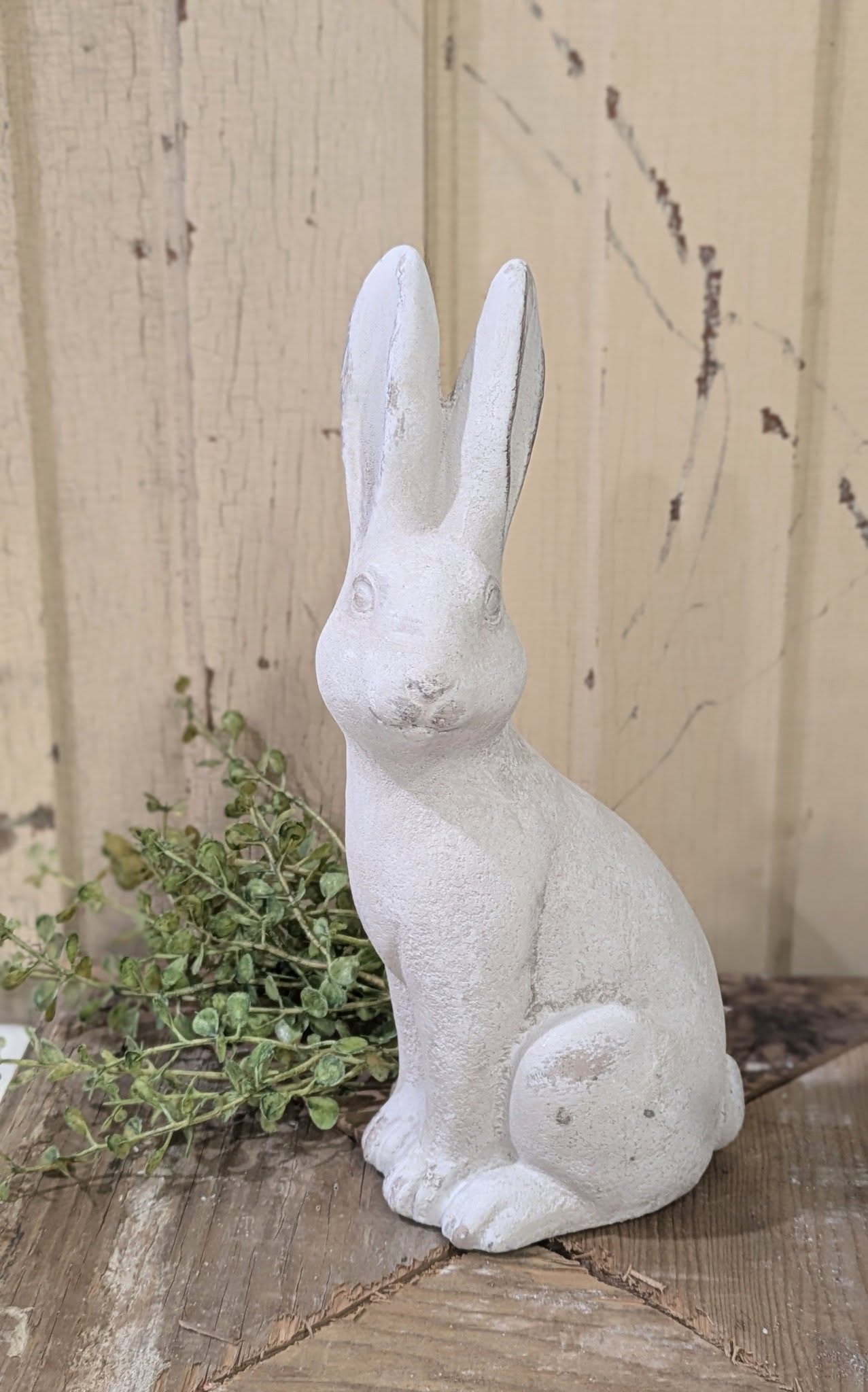 Garden Rabbit