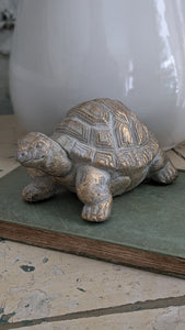 Gold Wash Garden Turtle