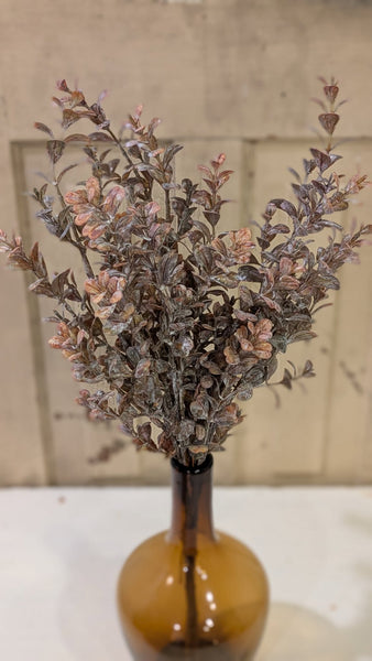 Harvest Eucalyptus Bundle