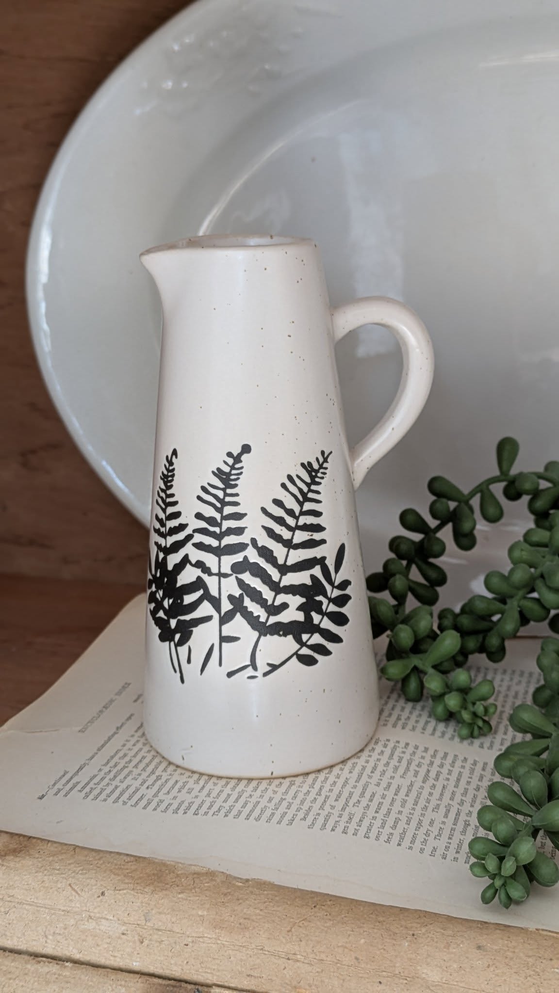 Mini Fern Pitcher