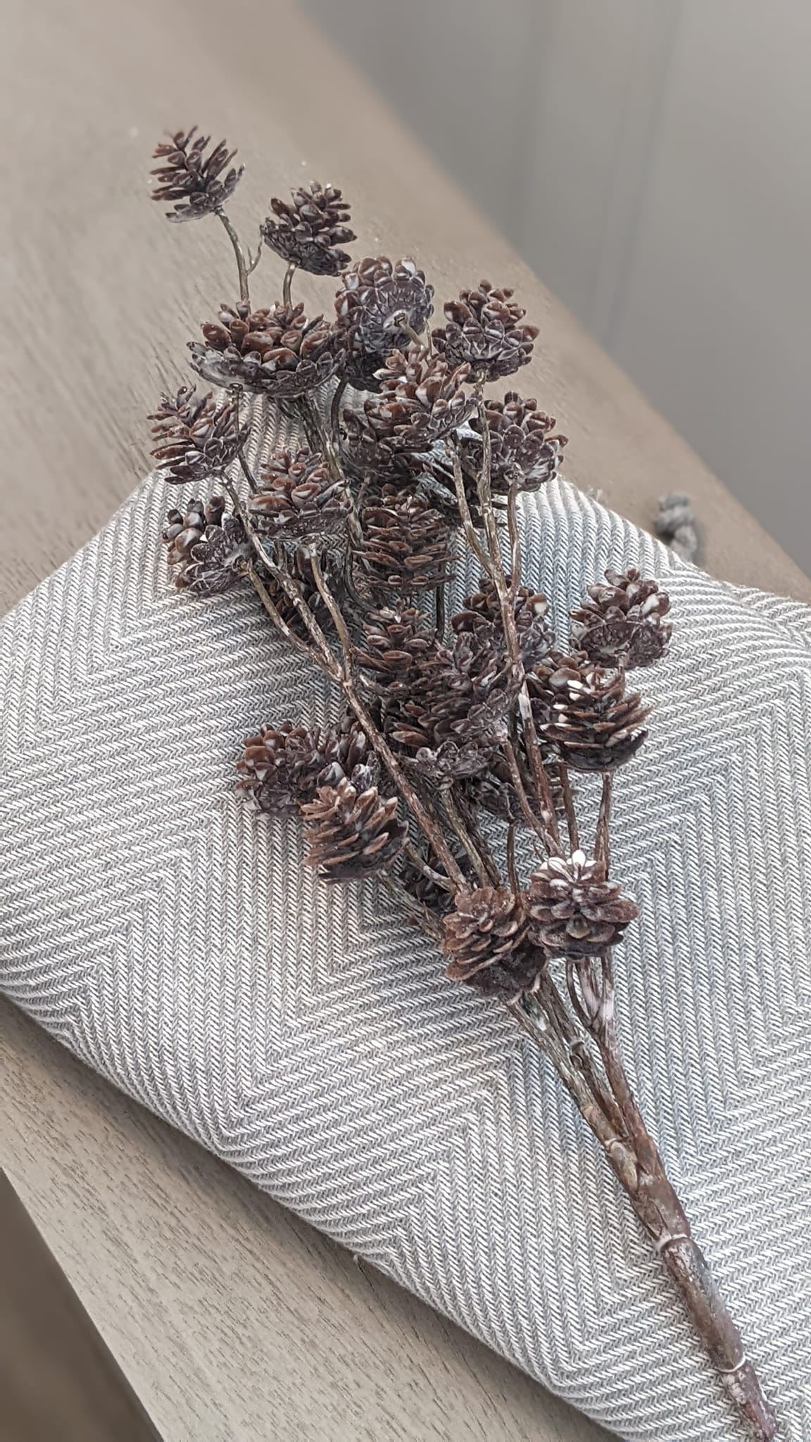 Mini Pinecone Bush