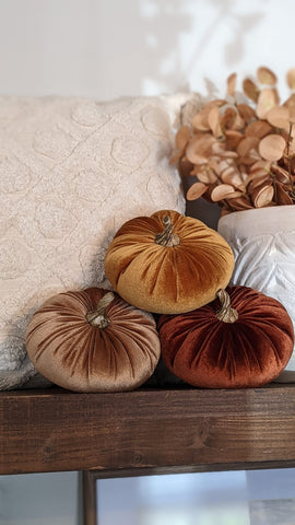 jewel tone velvet pumpkin decor