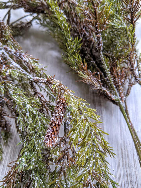 Snowy Spruce Hanging