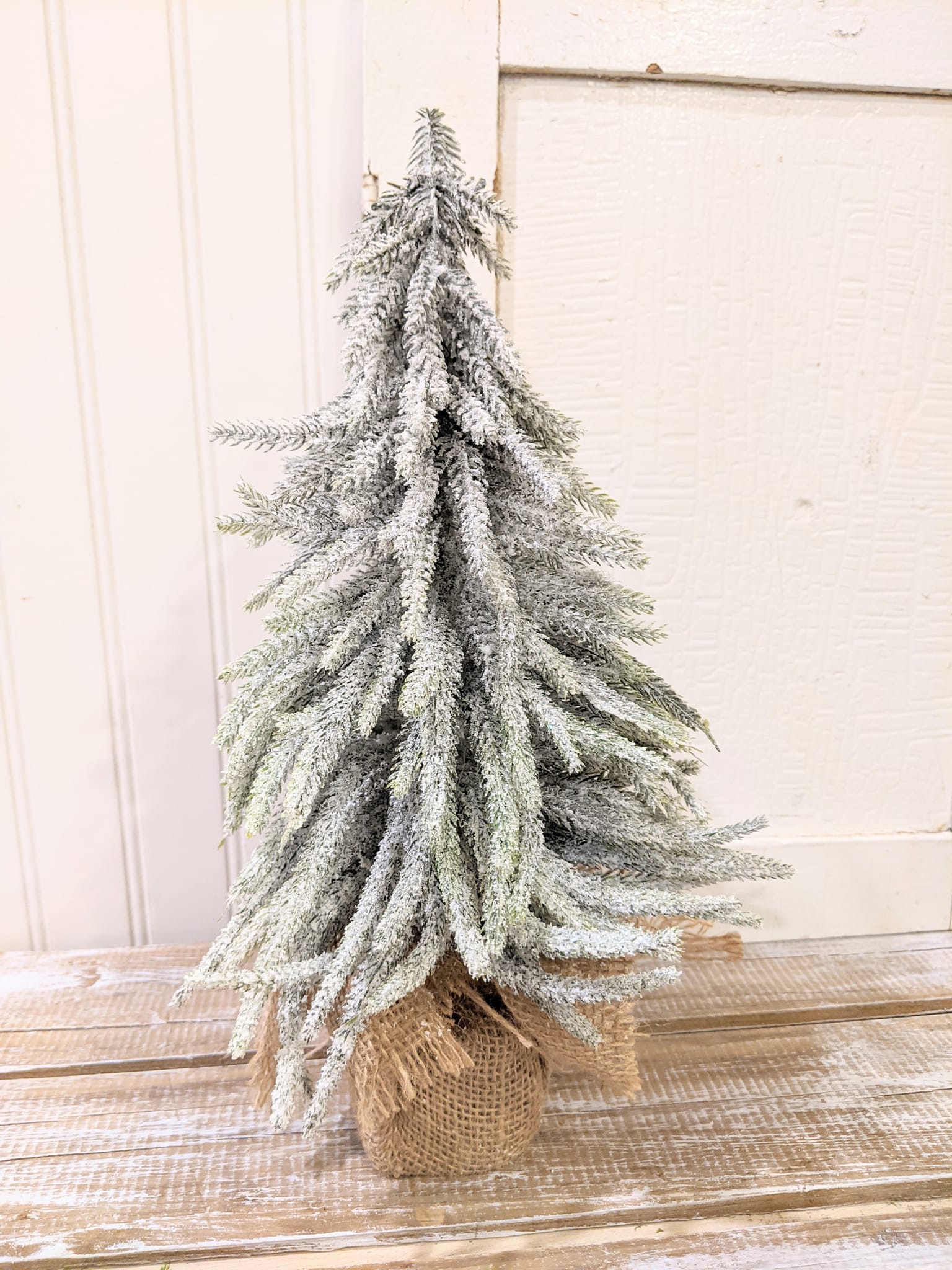 Frosted Pine Tree