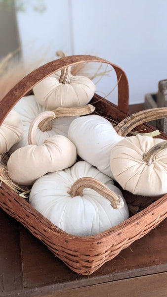 Farmhouse White Pumpkin