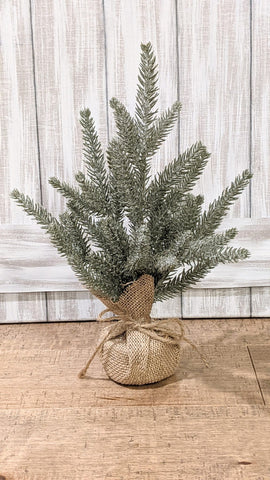 frosted mini spruce tree with burlap base