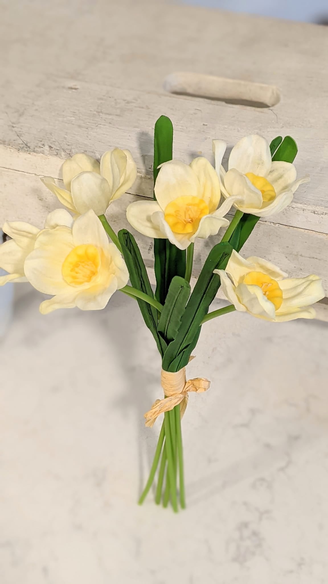 daffodil bunch