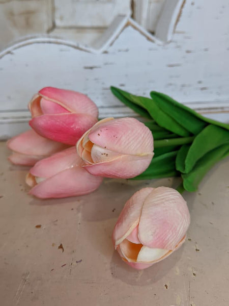 Tulip Bunch Set/5