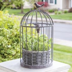 Metal Birdcage with Basket Planter
