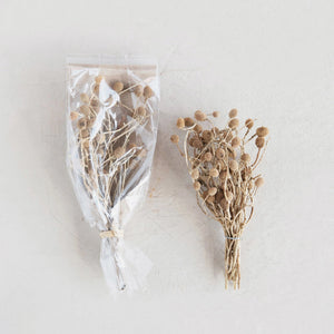 Dried Bora Bunch