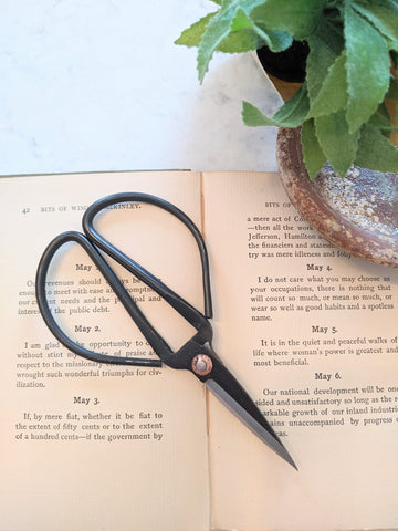 pruning shears